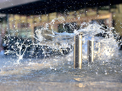 浩口原种场企业风采