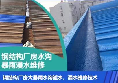 浩口原种场金属屋面防腐翻新确保金属屋面长久使用