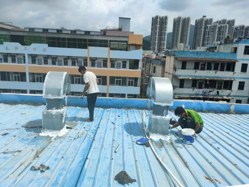 浩口原种场钢结构屋面涂料维修方法