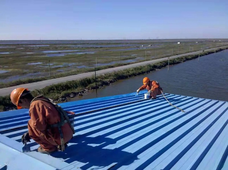 浩口原种场彩钢瓦屋面防腐翻新